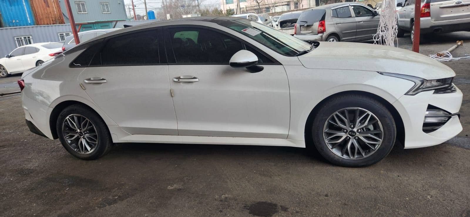 Carify Korea car delivery photo